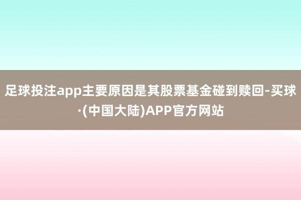 足球投注app主要原因是其股票基金碰到赎回-买球·(中国大陆)APP官方网站