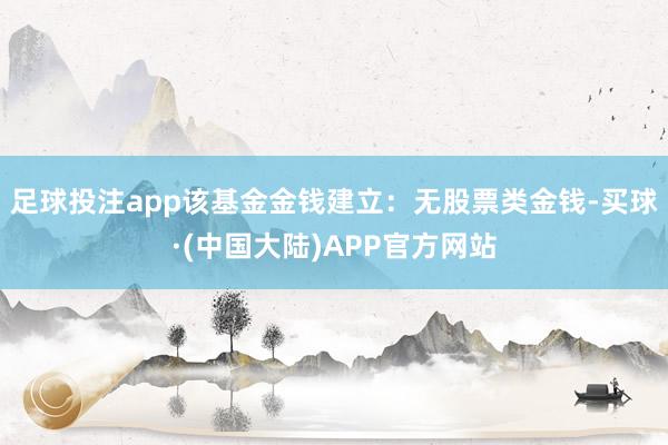 足球投注app该基金金钱建立：无股票类金钱-买球·(中国大陆)APP官方网站