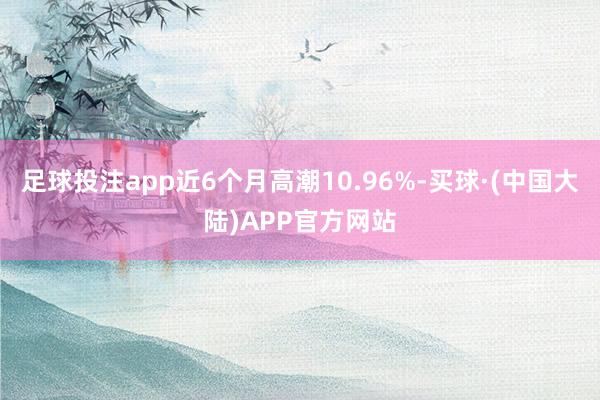 足球投注app近6个月高潮10.96%-买球·(中国大陆)APP官方网站