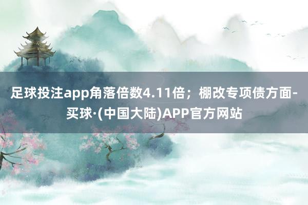 足球投注app角落倍数4.11倍；棚改专项债方面-买球·(中国大陆)APP官方网站