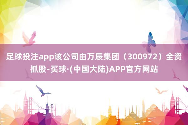 足球投注app该公司由万辰集团（300972）全资抓股-买球·(中国大陆)APP官方网站