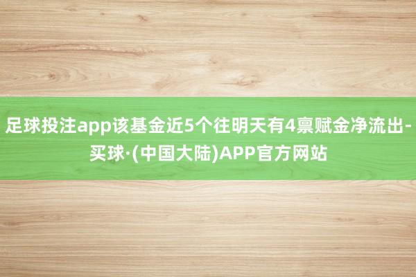 足球投注app该基金近5个往明天有4禀赋金净流出-买球·(中国大陆)APP官方网站