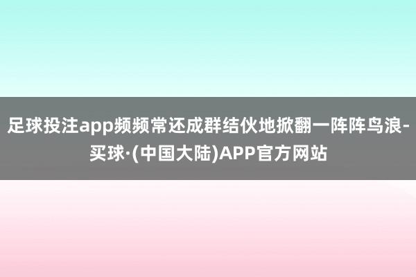 足球投注app频频常还成群结伙地掀翻一阵阵鸟浪-买球·(中国大陆)APP官方网站