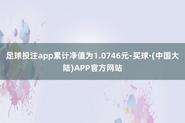 足球投注app累计净值为1.0746元-买球·(中国大陆)APP官方网站