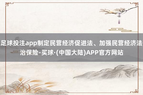 足球投注app制定民营经济促进法、加强民营经济法治保险-买球·(中国大陆)APP官方网站