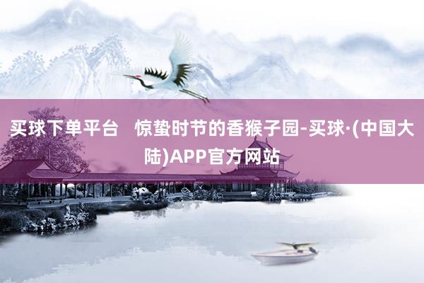 买球下单平台   惊蛰时节的香猴子园-买球·(中国大陆)APP官方网站