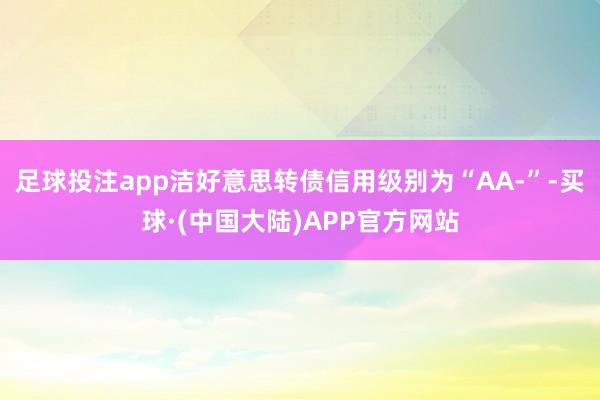 足球投注app洁好意思转债信用级别为“AA-”-买球·(中国大陆)APP官方网站