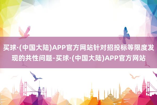 买球·(中国大陆)APP官方网站针对招投标等限度发现的共性问题-买球·(中国大陆)APP官方网站