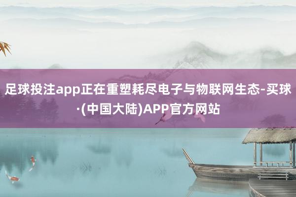 足球投注app正在重塑耗尽电子与物联网生态-买球·(中国大陆)APP官方网站