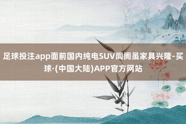 足球投注app面前国内纯电SUV阛阓虽家具兴隆-买球·(中国大陆)APP官方网站