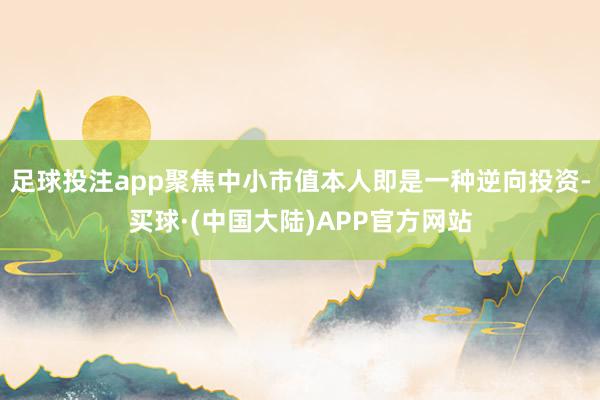 足球投注app聚焦中小市值本人即是一种逆向投资-买球·(中国大陆)APP官方网站