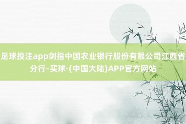 足球投注app剑指中国农业银行股份有限公司江西省分行-买球·(中国大陆)APP官方网站