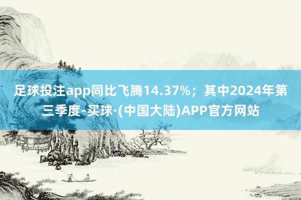 足球投注app同比飞腾14.37%;其中2024年第三季度-买球·(中国大陆)APP官方网站