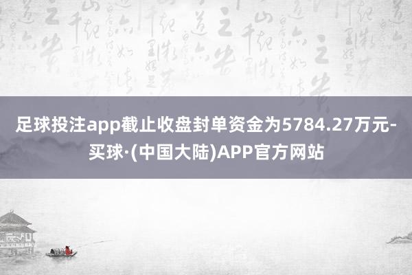 足球投注app截止收盘封单资金为5784.27万元-买球·(中国大陆)APP官方网站