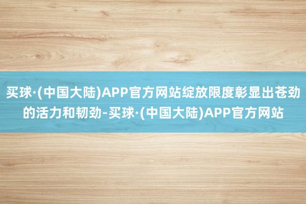 买球·(中国大陆)APP官方网站绽放限度彰显出苍劲的活力和韧劲-买球·(中国大陆)APP官方网站