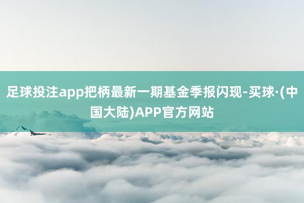 足球投注app把柄最新一期基金季报闪现-买球·(中国大陆)APP官方网站