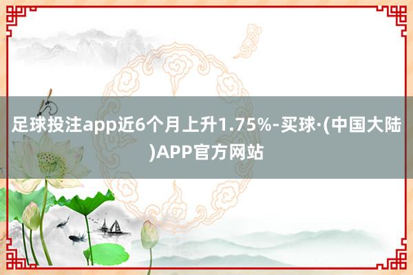 足球投注app近6个月上升1.75%-买球·(中国大陆)APP官方网站