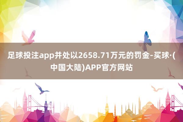 足球投注app并处以2658.71万元的罚金-买球·(中国大陆)APP官方网站