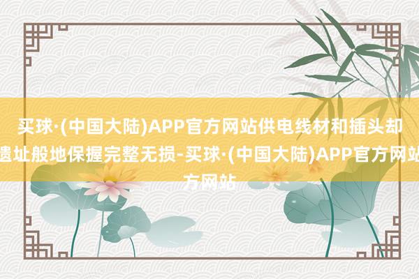 买球·(中国大陆)APP官方网站供电线材和插头却遗址般地保握完整无损-买球·(中国大陆)APP官方网站