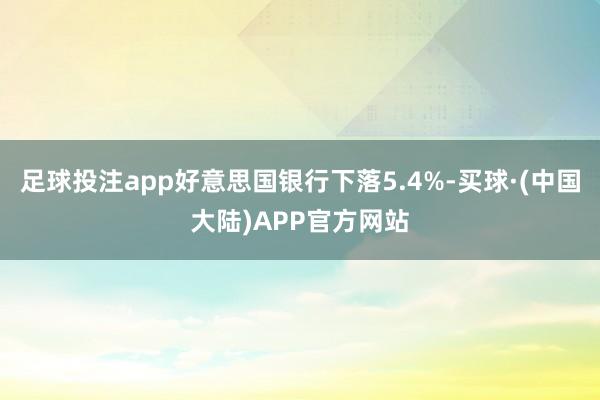 足球投注app好意思国银行下落5.4%-买球·(中国大陆)APP官方网站