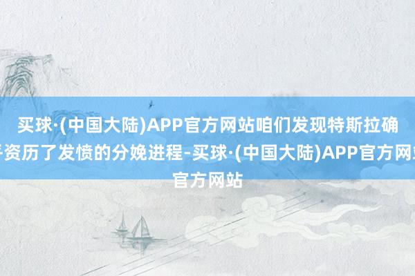 买球·(中国大陆)APP官方网站咱们发现特斯拉确乎资历了发愤的分娩进程-买球·(中国大陆)APP官方网站