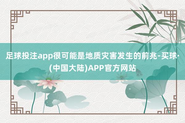 足球投注app很可能是地质灾害发生的前兆-买球·(中国大陆)APP官方网站
